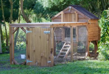 A modern day chicken coop, these small wooden houses are home to 4 or 5 chickens. The chickens have the freedom of the garden throughout the day then the safety of the house at dusk...More Chicken Images...