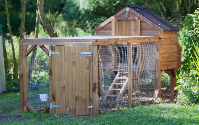 A modern day chicken coop, these small wooden houses are home to 4 or 5 chickens. The chickens have the freedom of the garden throughout the day then the safety of the house at dusk...More Chicken Images...